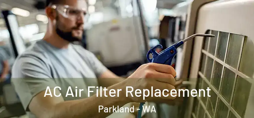  AC Air Filter Replacement Parkland - WA