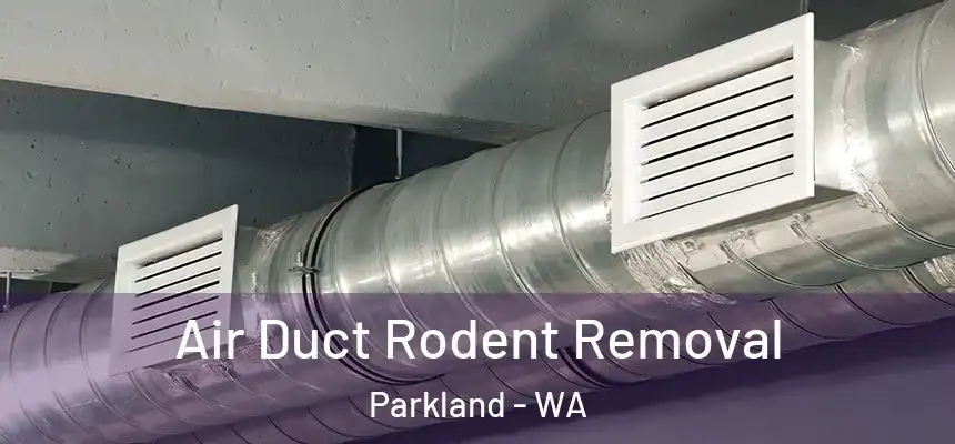 Air Duct Rodent Removal Parkland - WA