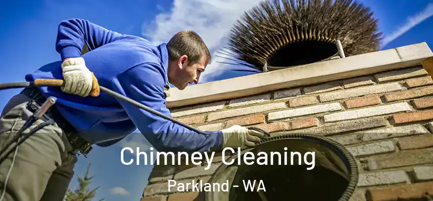  Chimney Cleaning Parkland - WA