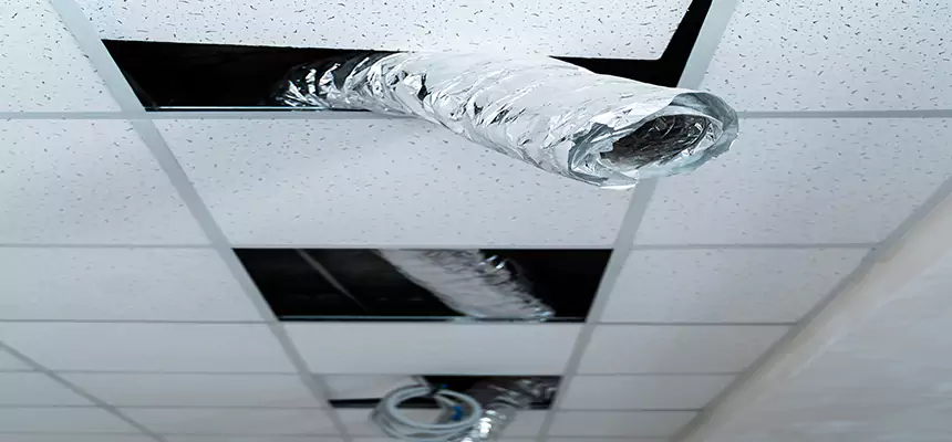 Our Air Duct Pet Hair Removal Services in Parkland, WA