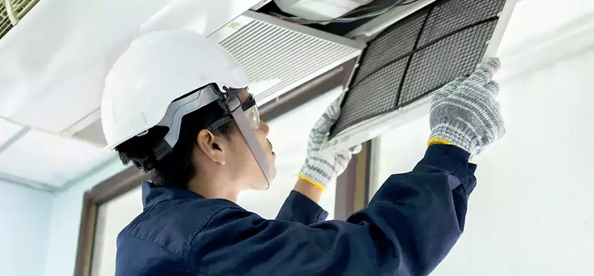 Our Mold & Mildew Removal from Air Ducts Services in Parkland, WA