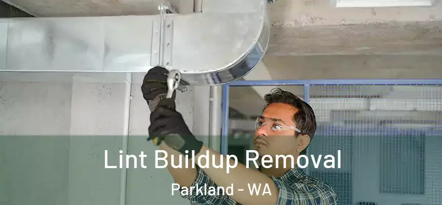 Lint Buildup Removal Parkland - WA