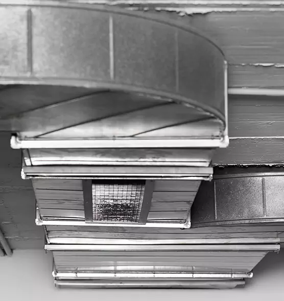 Professional Air Duct Pest Removal in Parkland, WA