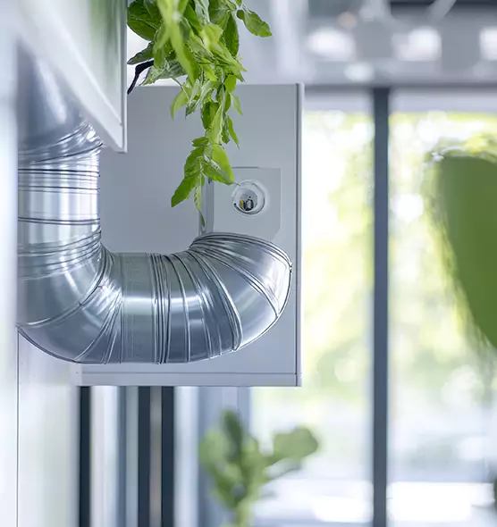 Professional Eco-Friendly Duct Cleaning Services in Parkland, WA
