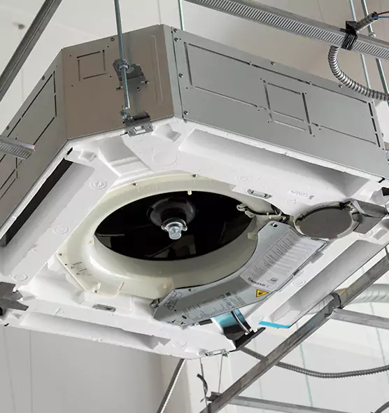 Professional Roof Vent Lint Removal Parkland, WA