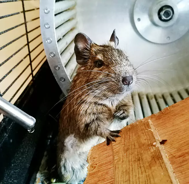 Why Homeowners & Businesses Trust Us Parkland, WA