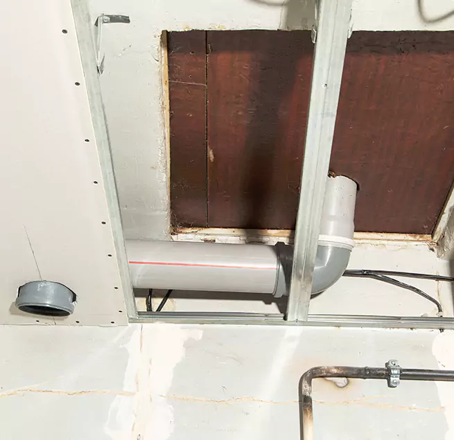 Why Homeowners & Businesses Trust Us in Parkland, WA?