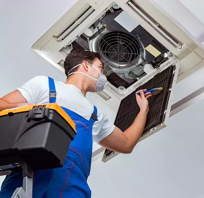 Why Homeowners & Businesses Trust Us in Parkland, WA