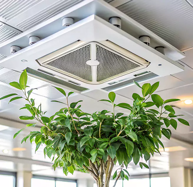 Why Homeowners & Businesses Trust Us in Parkland, WA