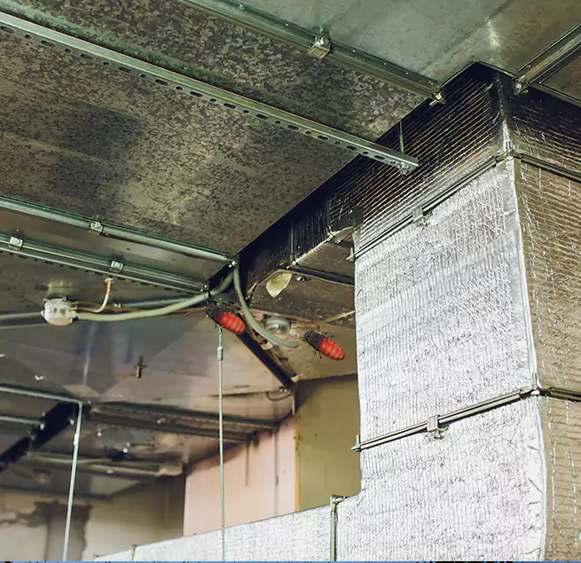 Why Homeowners & Businesses Trust Us Parkland, WA?