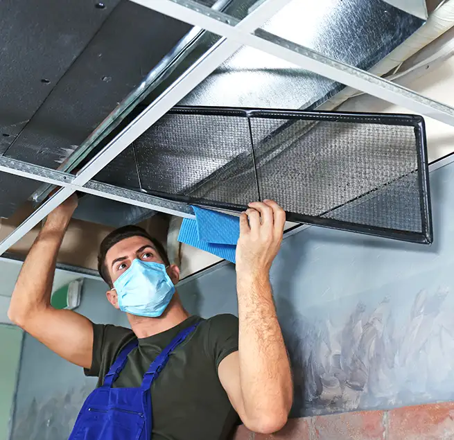 Why Homeowners & Businesses Trust Us in Parkland, WA?